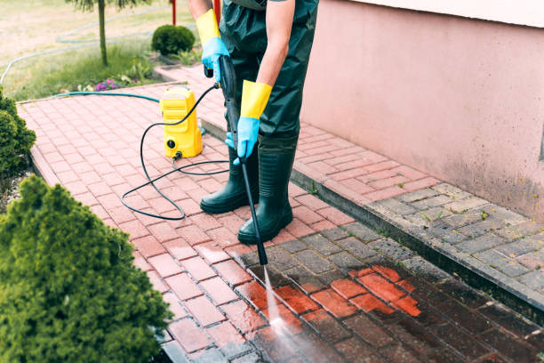 Best Roof Washing  in Estero, FL